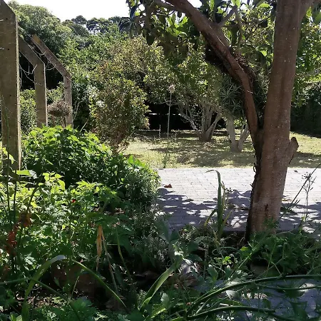 Apartment Quinta De Santo Antonio